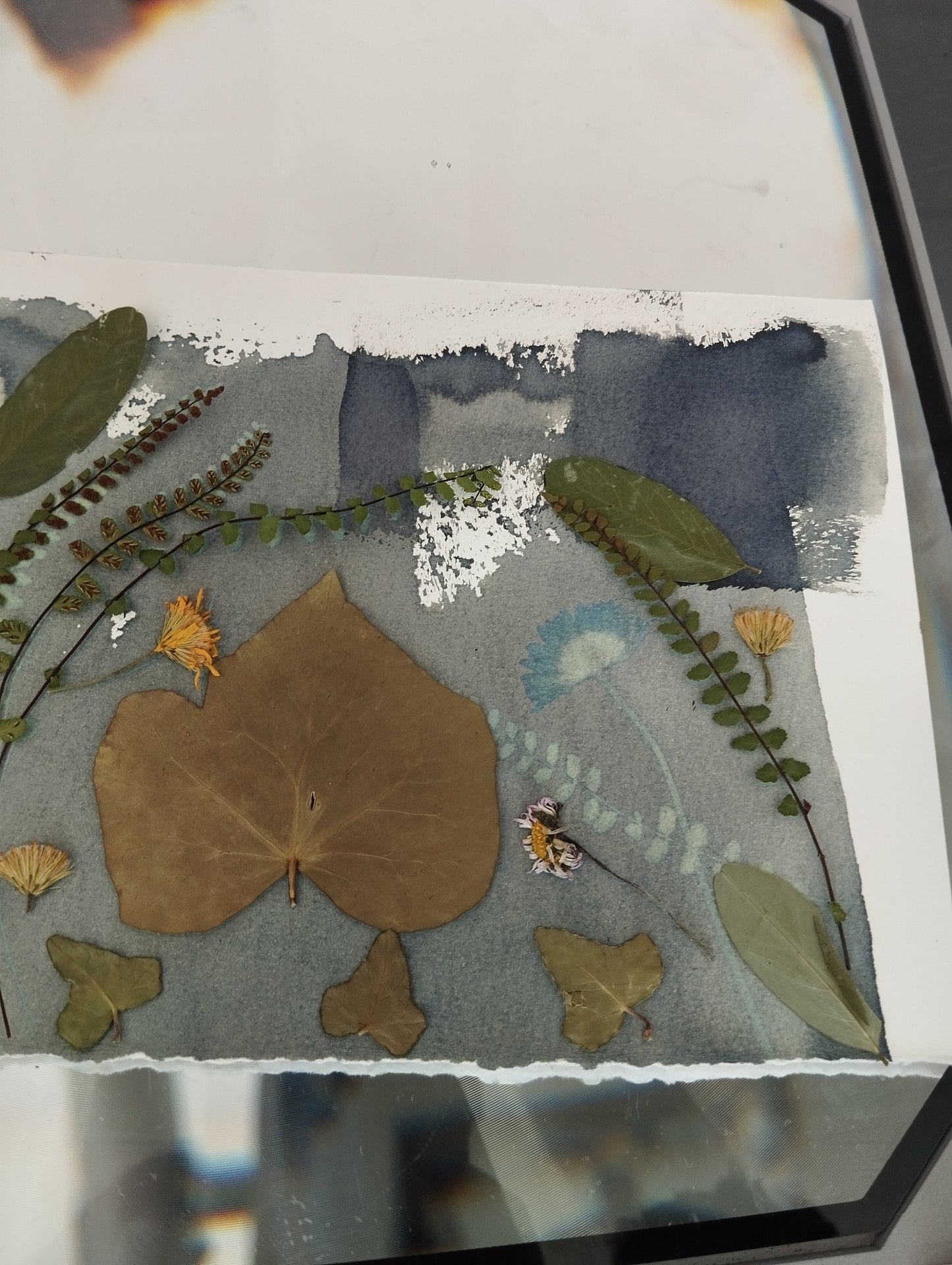 DIY: Atelier réalisation de cyanotype