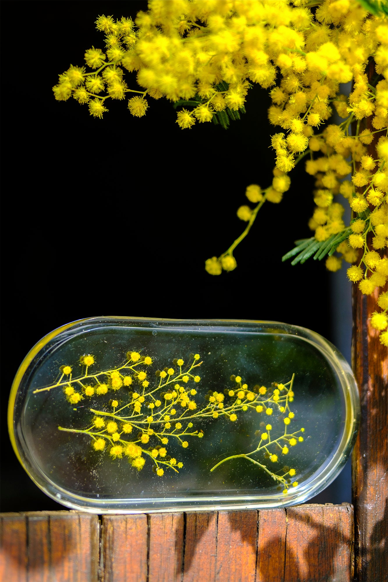Coupelle vide poche en résine avec inclusion mimosa - caurisandco