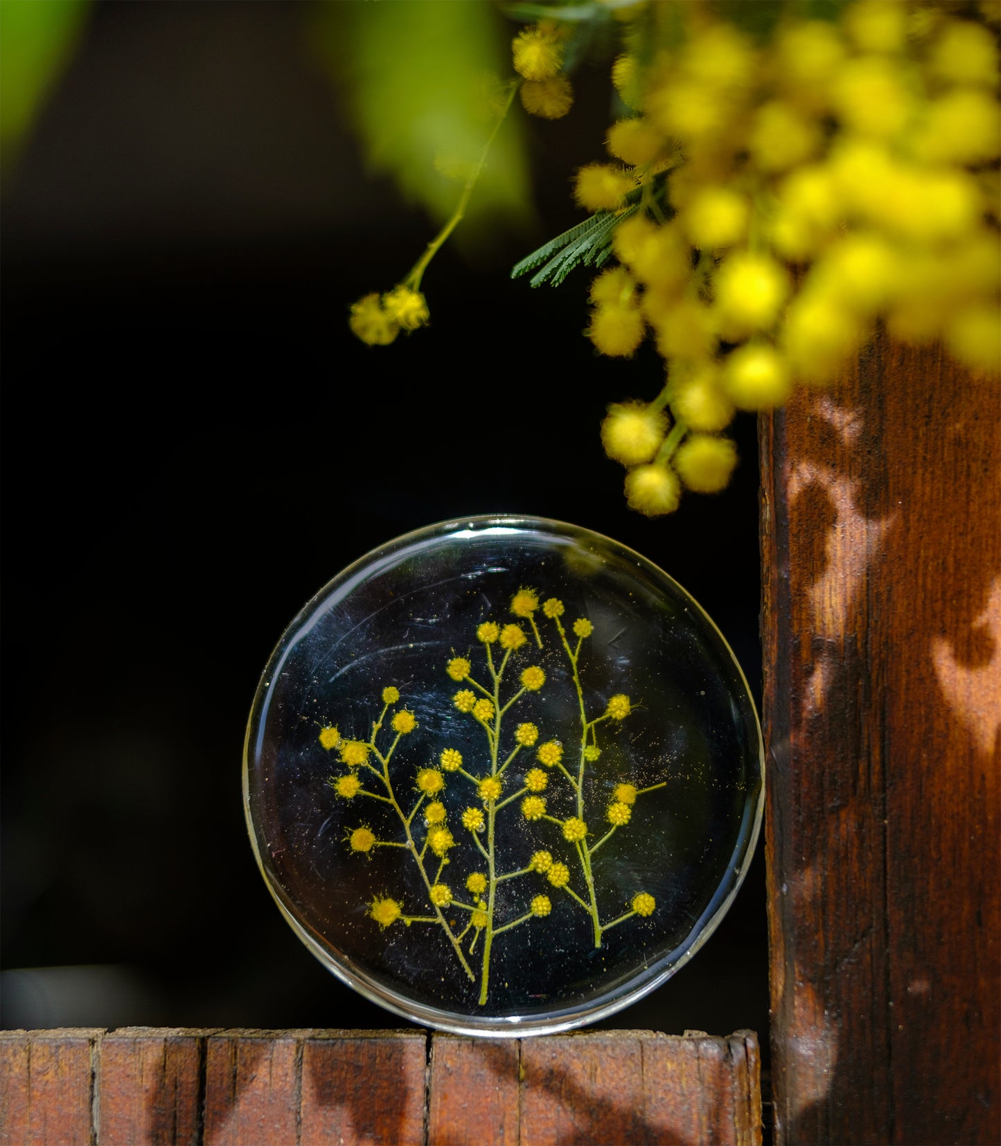 4 sous verre+support en résine époxy rond avec inclusion de mimosa - caurisandco