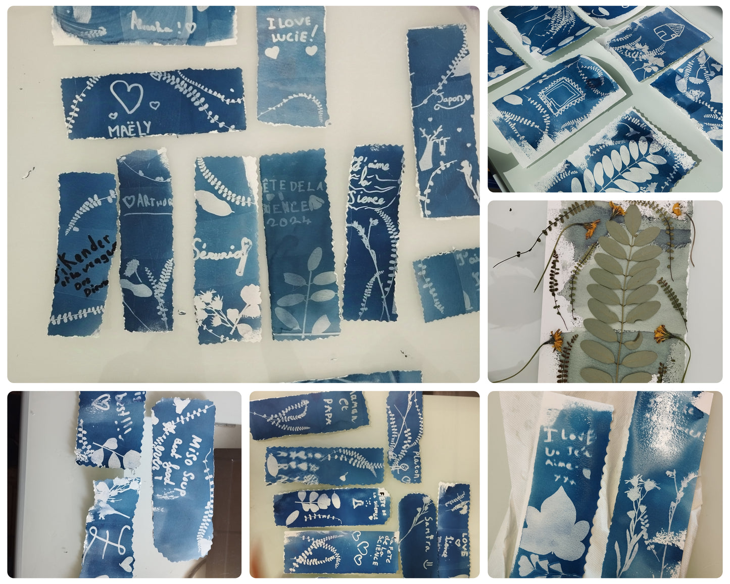 DIY: Atelier réalisation de cyanotype
