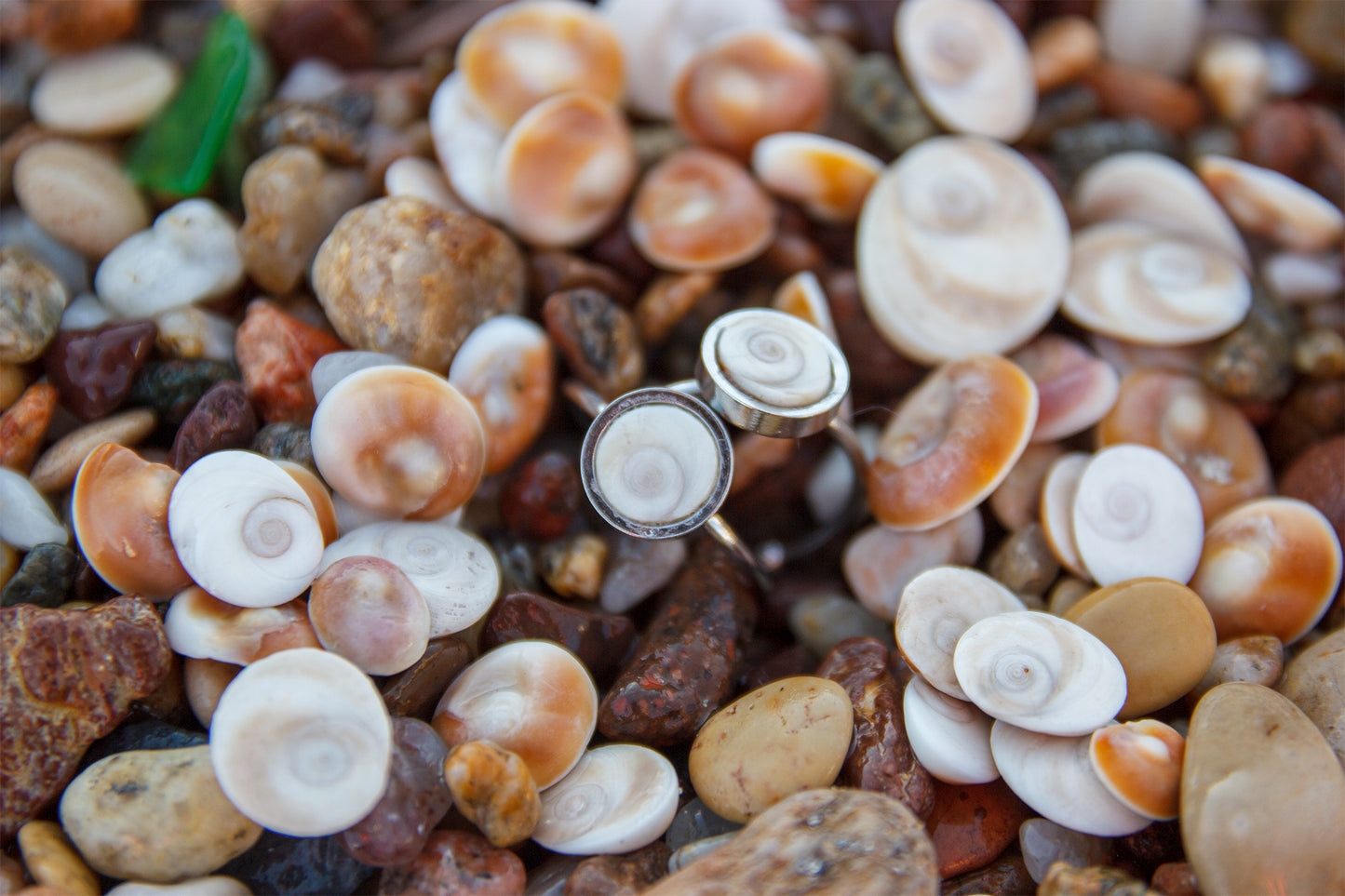 Bague en oeil de Ste Lucie 6mm en acier inoxydable