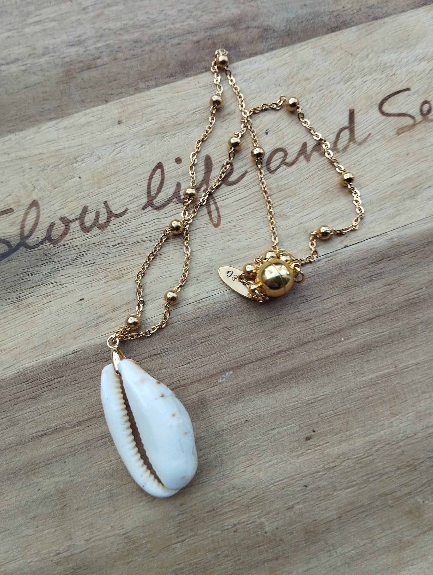 collier chaine en acier inox et pendentif cauri naturel (pour Malika)