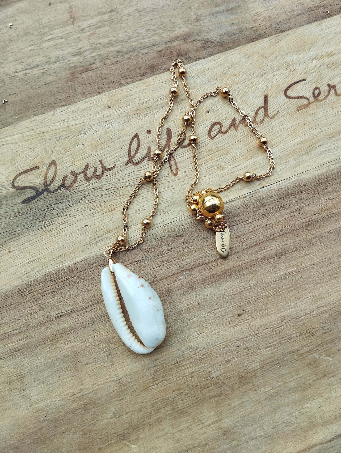 collier chaine en acier inox et pendentif cauri naturel (pour Malika)